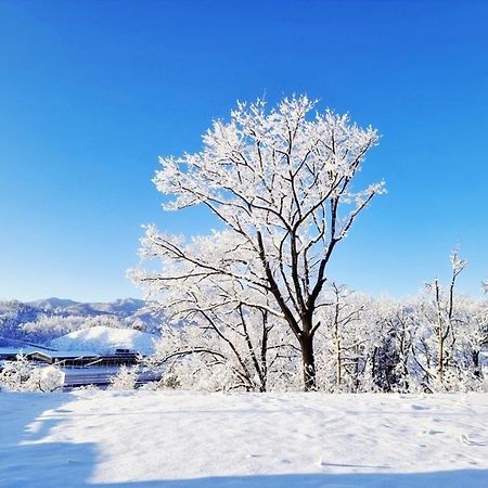 Sokcho Ulsanbawi Bed And Breakfast エクステリア 写真