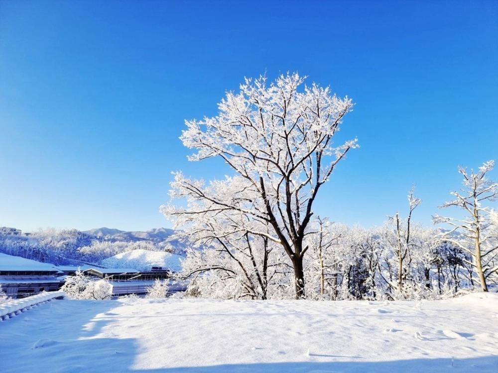 Sokcho Ulsanbawi Bed And Breakfast エクステリア 写真